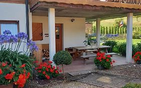 gite au coin du feu à 25mn de Colmar au calme avec jardin clos